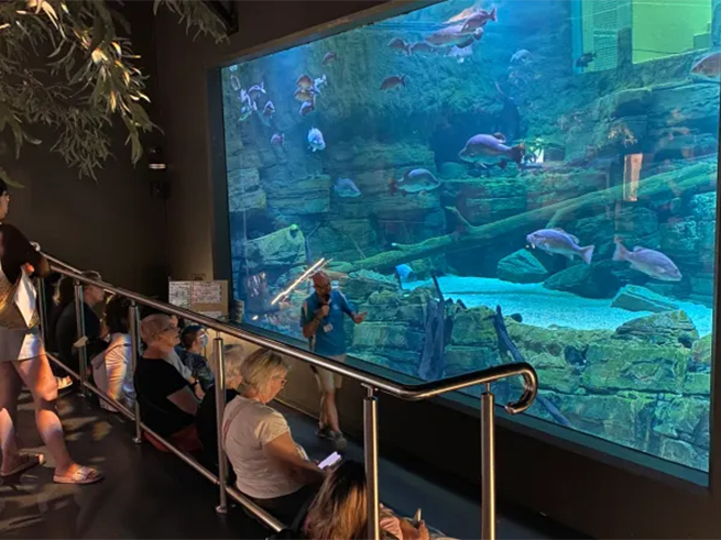 夜の水族館を英語ガイドと探検