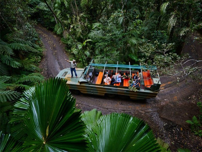 レインフォレステーションでのアクティビティが充実！