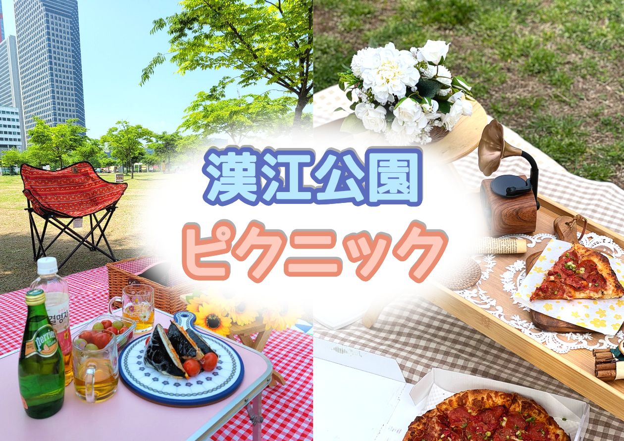 おしゃれなソウル漢江公園ピクニック＆ザ・現代（ピクニックセット貸与付）