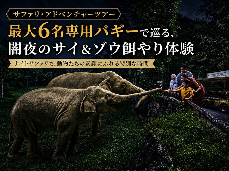 ナイトサファリ【サファリ・アドベンチャーツアー】最大6名専用バギーで巡る、闇夜のサイ＆ゾウ餌やり体験