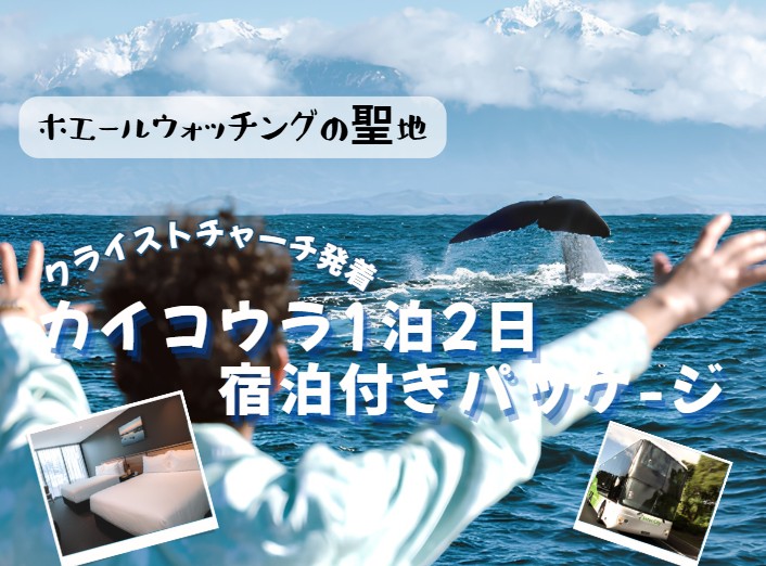 ホエールウォッチングの聖地！カイコウラ1泊2日宿泊付きパッケージ  クライストチャーチ発着
