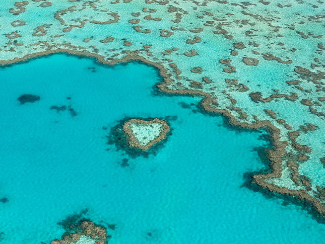 ハミルトン島発【グレートバリアリーフ遊覧飛行】ハートリーフ&ホワイトヘブンビーチ・エクスプレス 英語ツアー