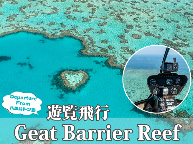 ハミルトン島発【グレートバリアリーフ遊覧飛行】ハートリーフ＆ホワイトヘブンビーチ英語ツアー