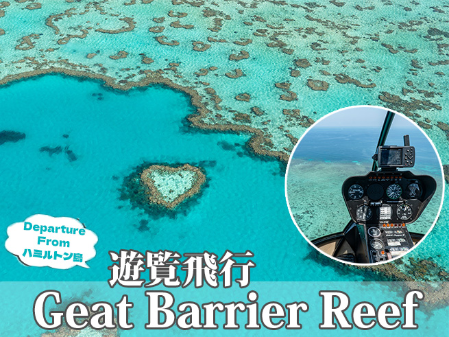 【グレートバリアリーフ遊覧飛行】ハートリーフ＆ホワイトヘブンビーチ英語ツアー
