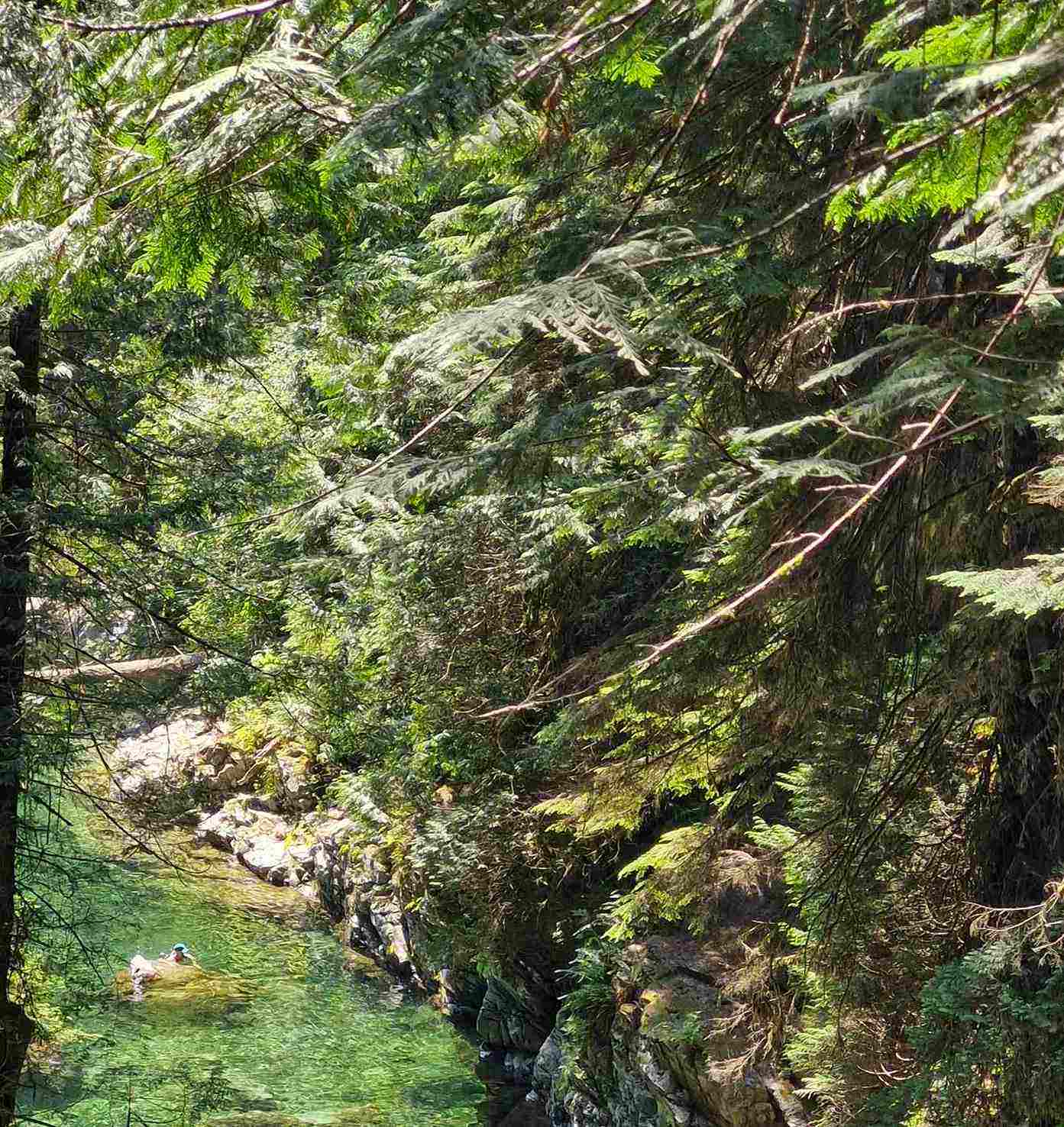 地元の人にも大人気！リン渓谷＆ディープコーブツアー《日本語ガイド / ウォーキングツアー》