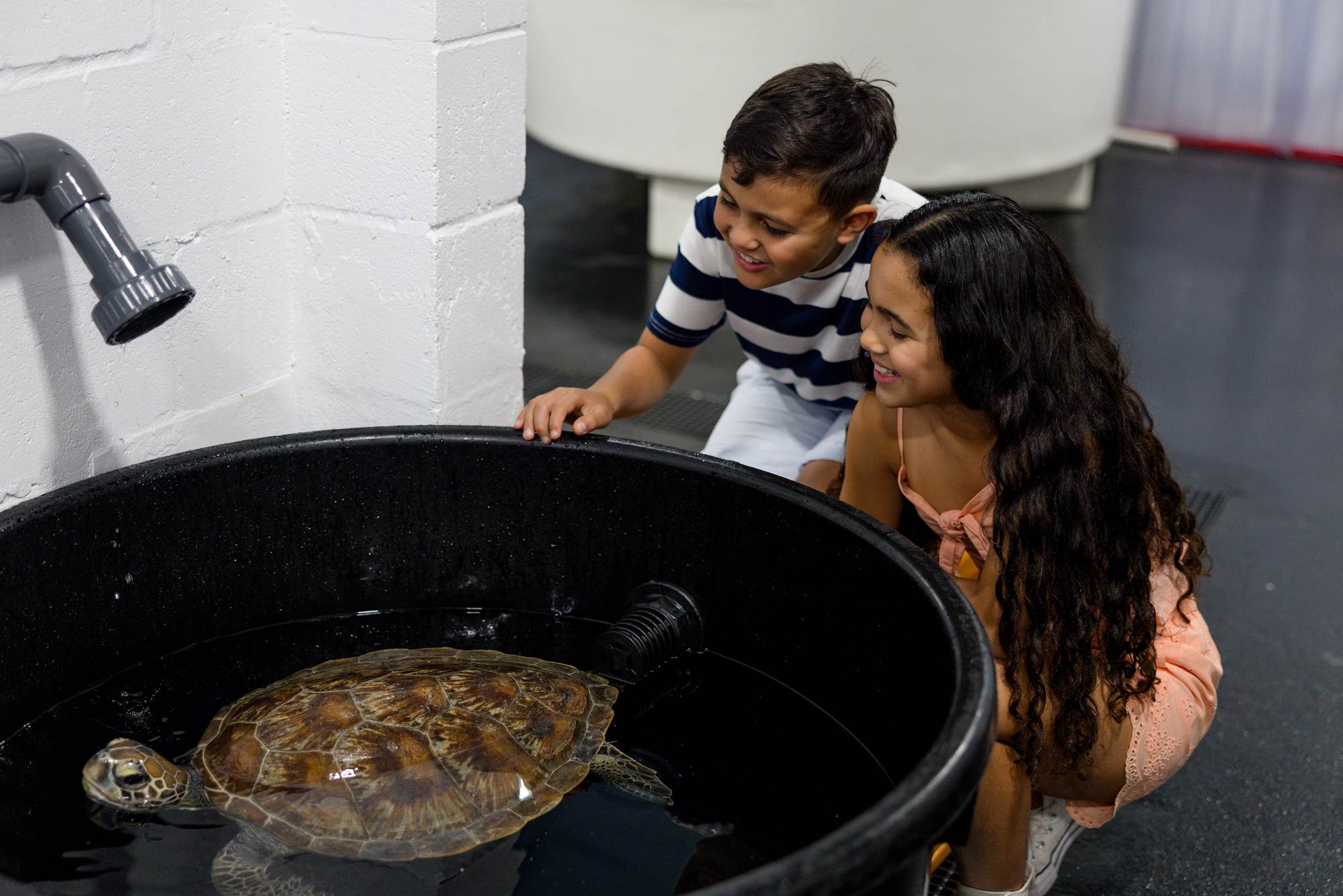 環境保護への取り組み