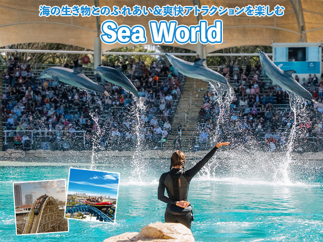 海の生き物と遊ぶテーマパーク｜シーワールド【入場チケット】