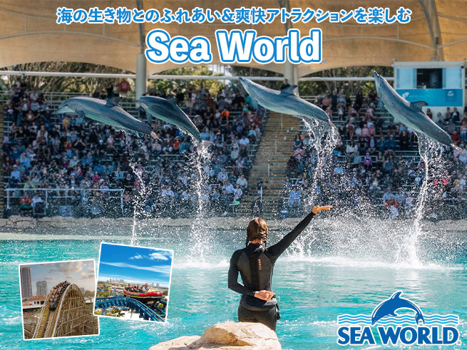 海の生き物と遊ぶテーマパーク｜シーワールド【入場チケット】