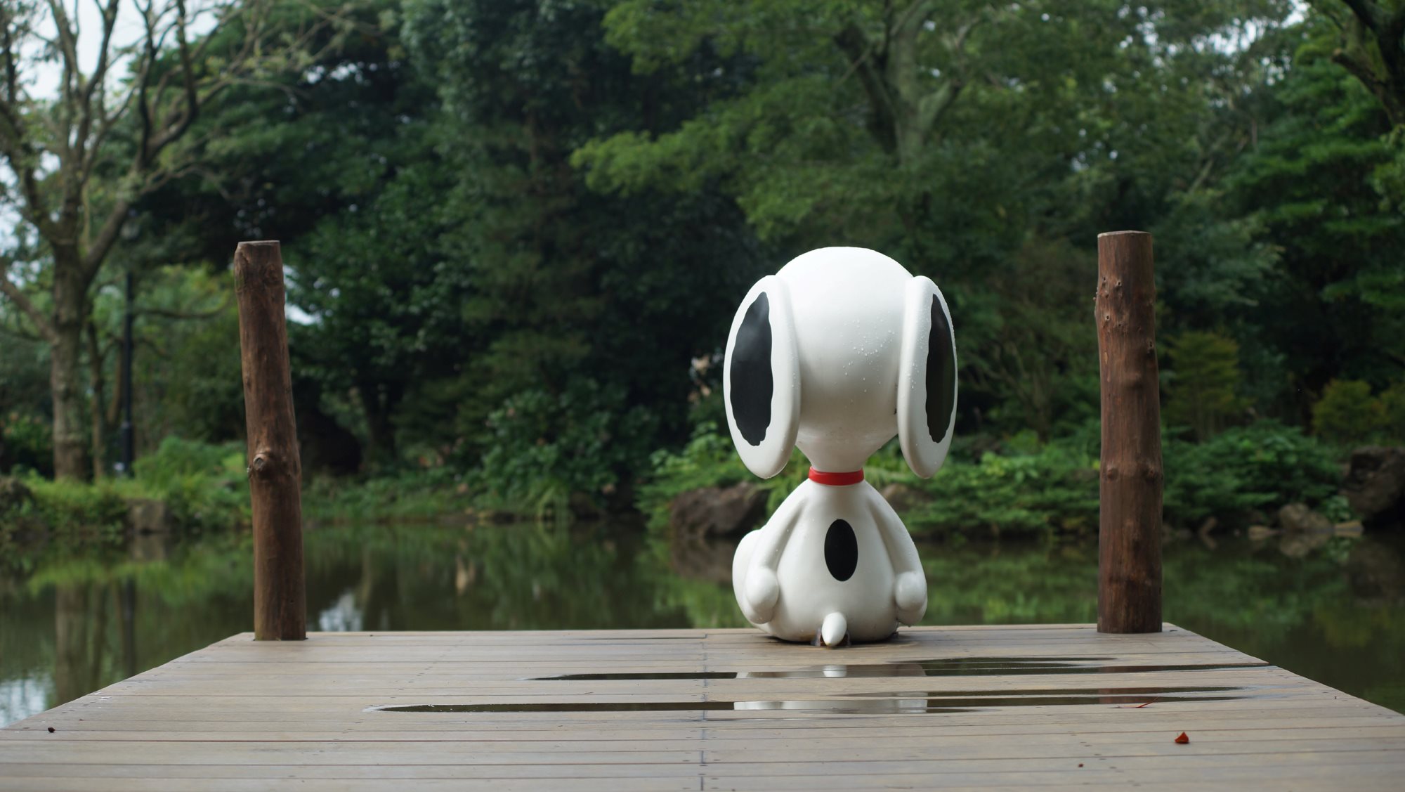 済州島の自然と可愛いスヌーピーの最強の組み合わせ🐶📸✨