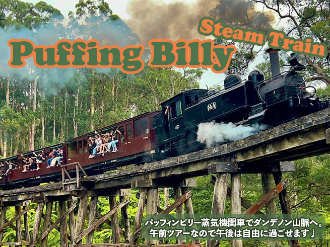 ダンデノン丘陵＆蒸気機関車パッフィンビリー鉄道半日ツアー（日本語ガイダンスアプリ対応）