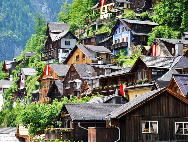 プライベートツアー＋専用車で観光	