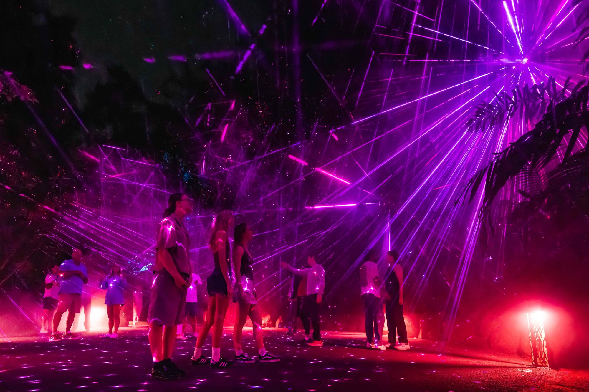 幻想的な光と音のナイトウォーク