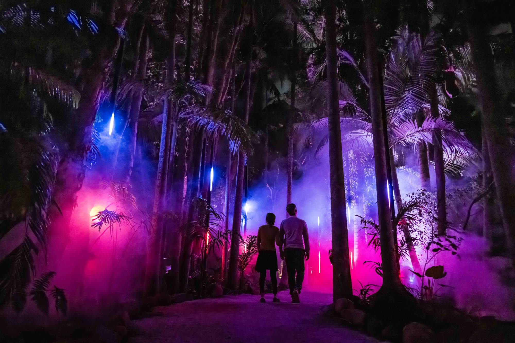 家族みんなで楽しめる