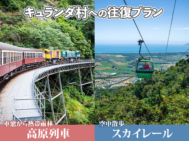 【スカイレール × キュランダ鉄道】ケアンズ市内片道送迎付き