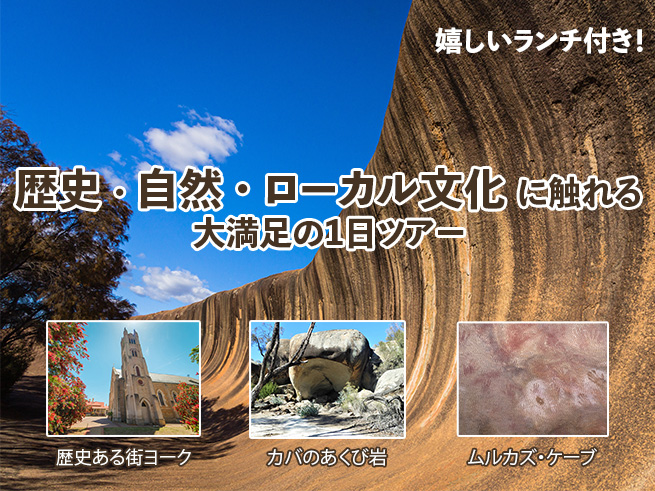 日本語ガイドと行く！【ウェーブロック・奇岩と洞窟めぐり】ランチ付き