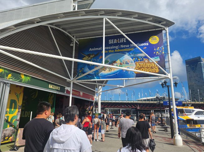 シドニー中心部でアクセス便利