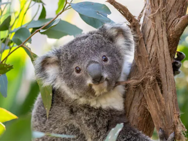 天候を気にせず楽しめる屋内型動物園