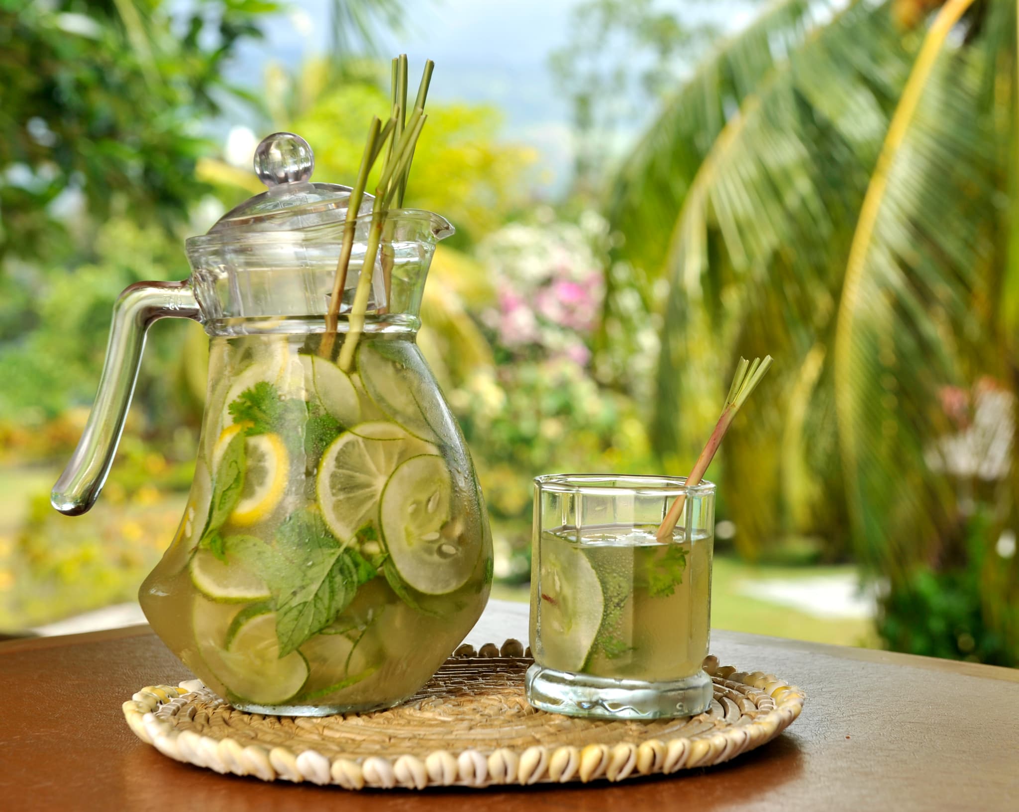 大地と海の恵みに満ちた、滋味深いオーガニックダイニング