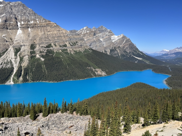 【宿泊付き】カナディアンロッキー5日間  (カルガリー4泊）《多言語自動音声ガイド / カルガリー発着》