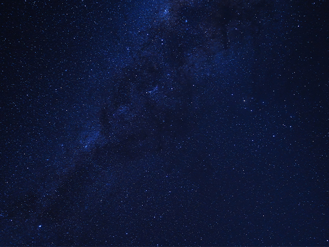 コアラとの出会い＆満天の星空