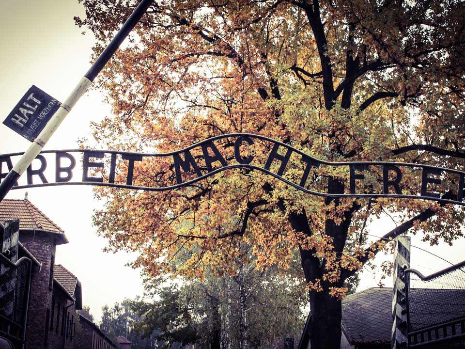 アウシュヴィッツ･ビルケナウ博物館 1日観光（公共交通機関チケット、日本語公認ガイド付き）