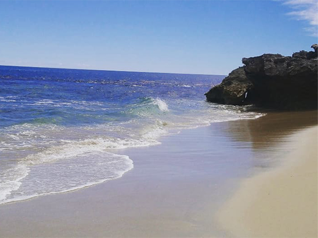 ペンギン島探検と絶景体験