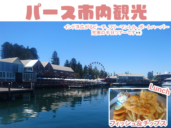 【パース半日観光】短時間で街の見どころを効率よく巡る！（日本語ガイド＆送迎つき）