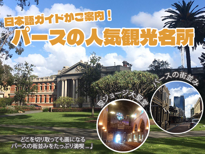 【絶景＆名所を効率よく巡る】パースハイライトウォーキングツアー （日本語ガイド＆送迎つき）