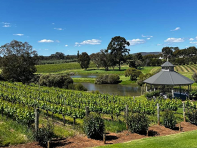 自然の中でリラックス