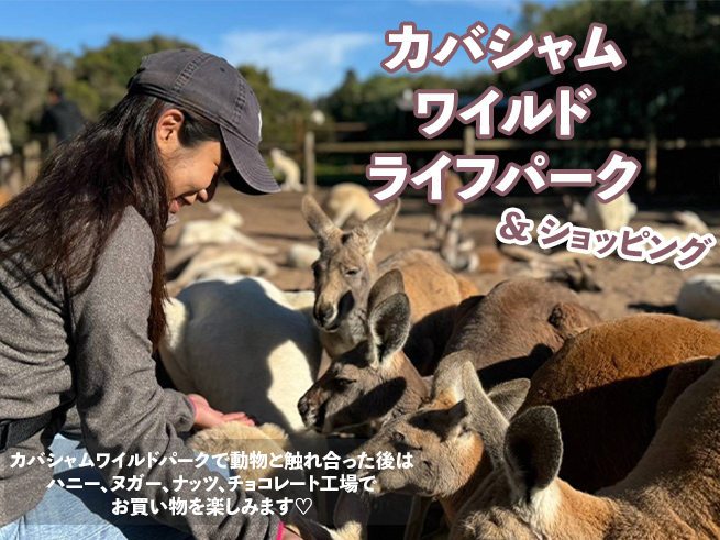 【カバシャムワイルドライフパーク＆スワンバレー】半日ツアー（日本語ガイド＆送迎つき）