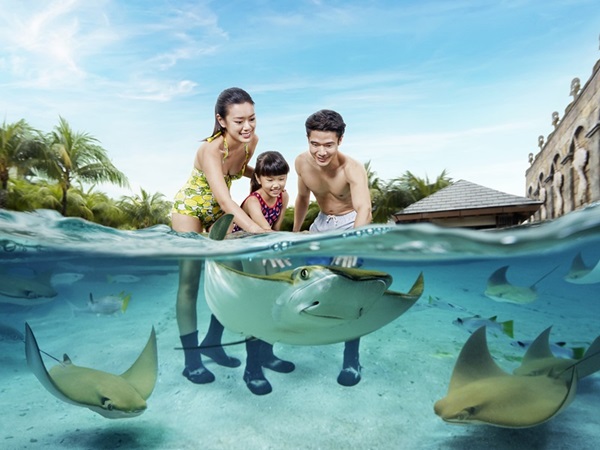 アドベンチャーコーブ・ウォーターパークで遊びつくす♪