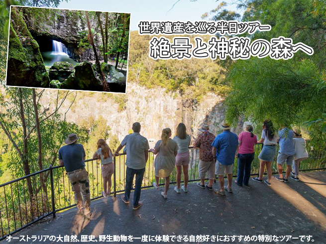 世界遺産スプリングブルック＆ナチュラルブリッジ半日ツアー（送迎付き・英語ガイド）