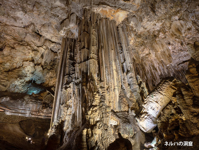 『終日プラン』をお選びいただければ、ネルハでもゆっくり観光