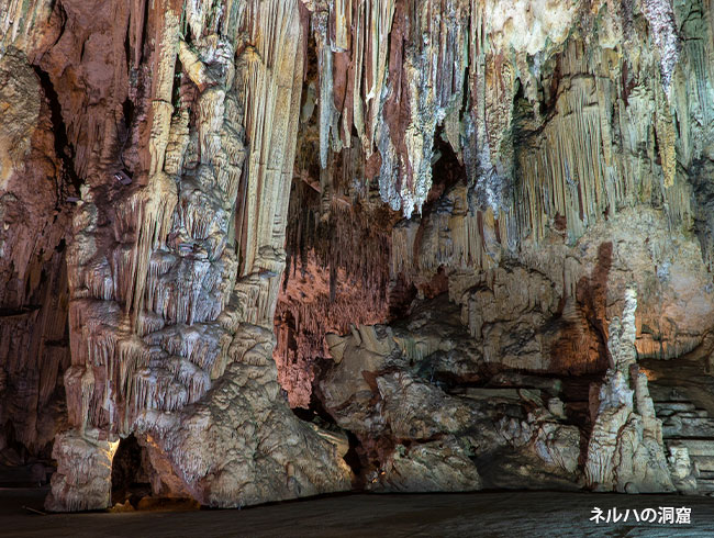 『終日プラン』をお選びいただければ、ネルハでもゆっくり観光