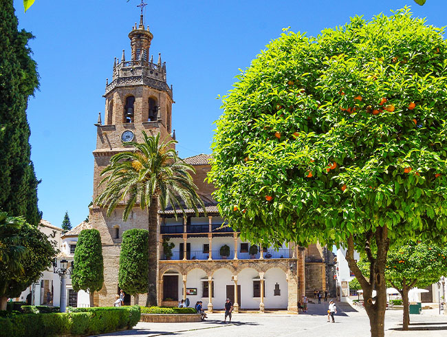 朝の出発も、プライベートツアーだからご滞在ホテル発で安心！