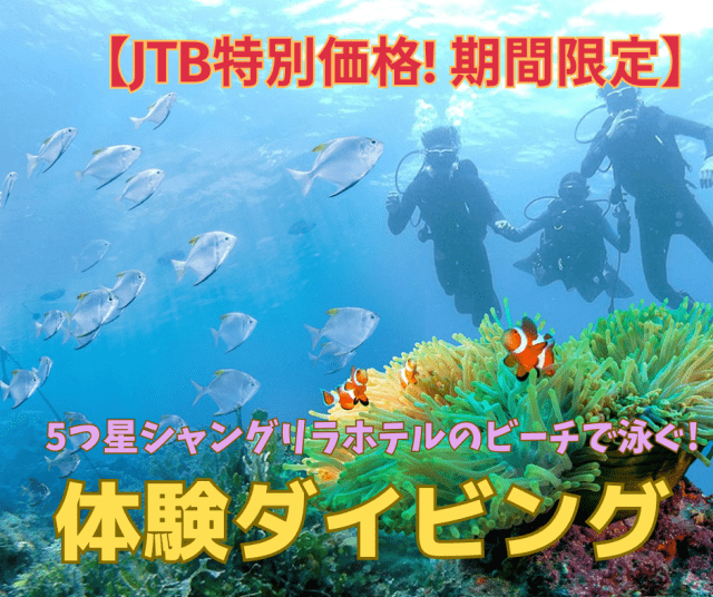 【体験ダイビング／JTBオリジナル特別価格】5つ星シャングリラホテルのビーチで体験ダイビング！選べる【午前or午後】ホテル往復送迎付き！