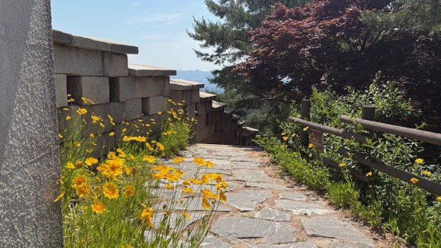 ④彰義門(チャンイムン)への回帰