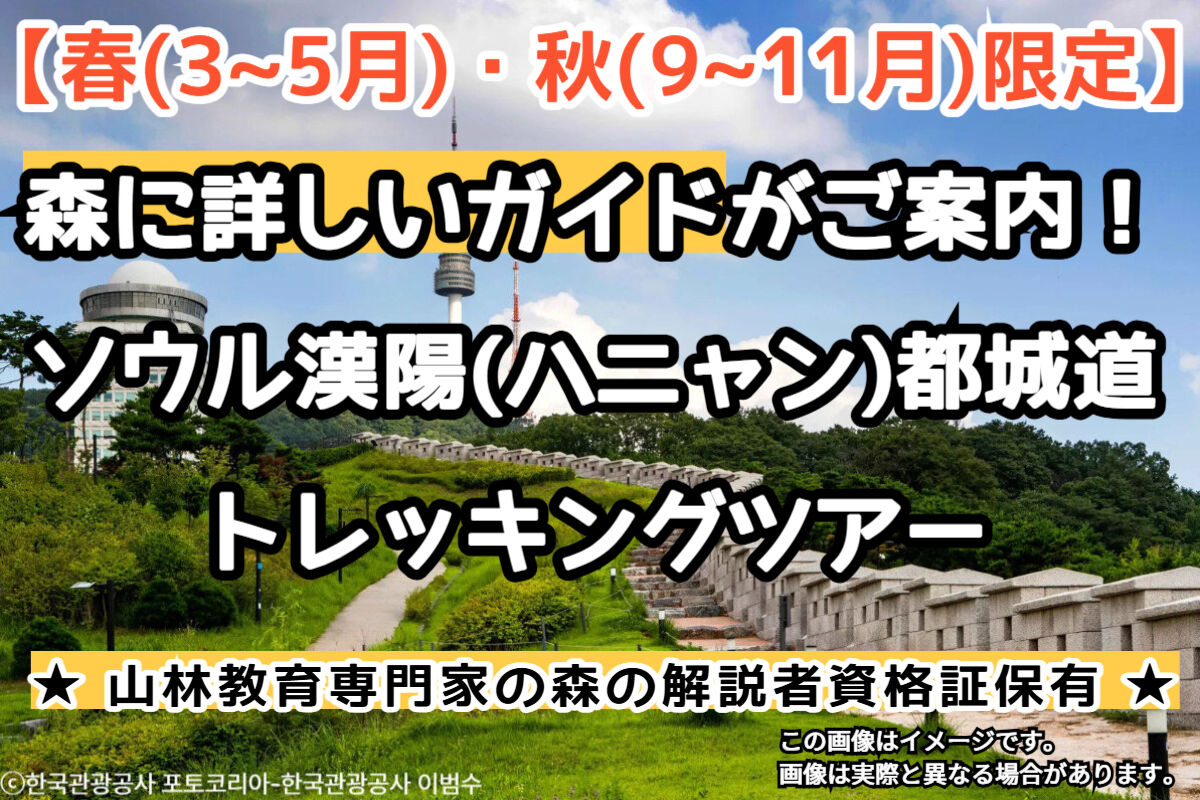 【春(3~5月)・秋(9~11月)限定】森に詳しいガイドがご案内！ソウル漢陽(ハニャン)都城道トレッキングツアー