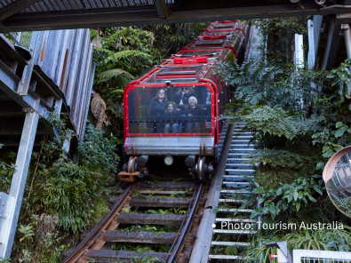 シーニックワールドでスリル満点の絶景体験