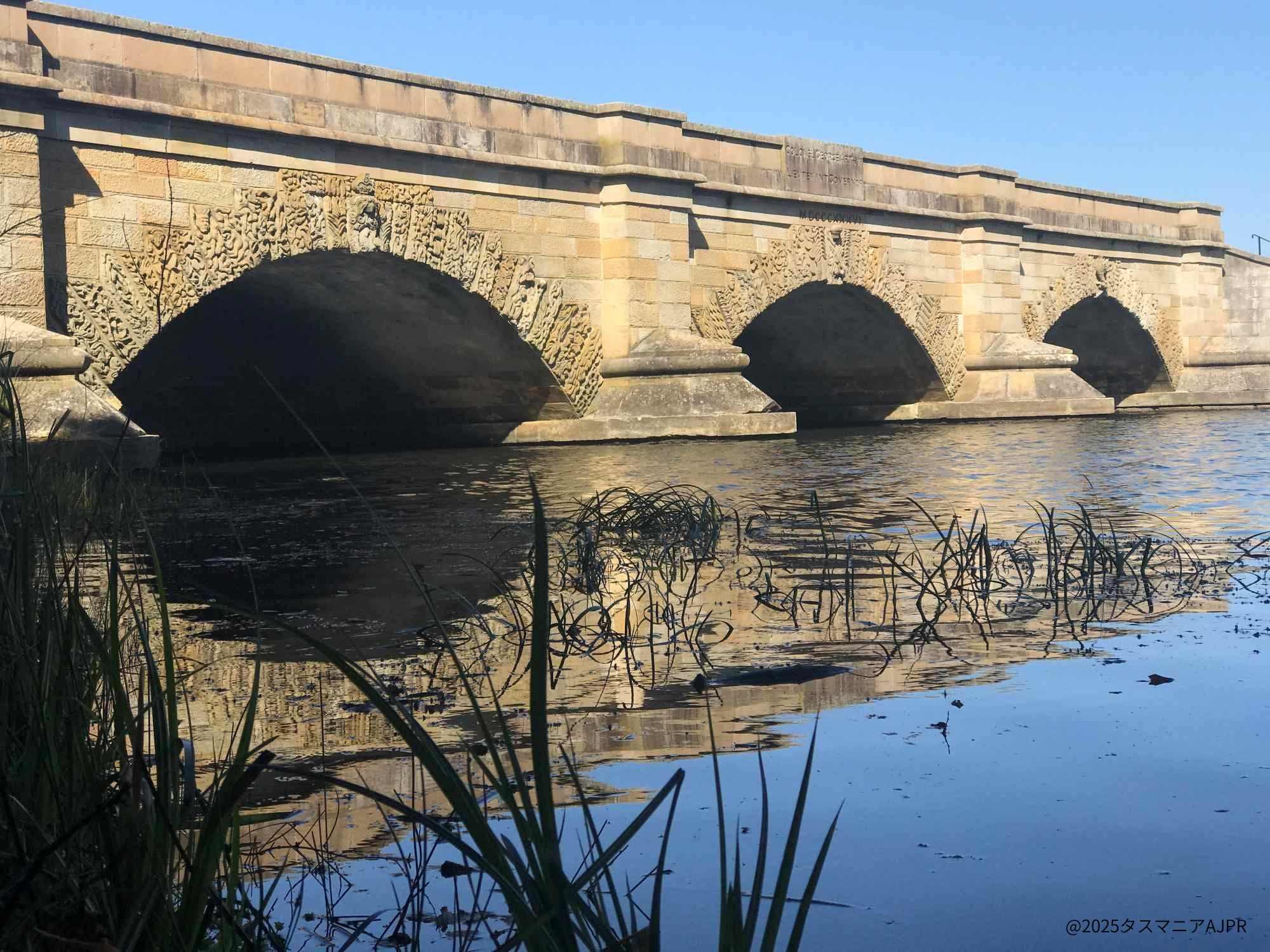 デビルと出会う野生動物公園と“タスマニアの美しい村” ロス（日帰り日本語ツアー）