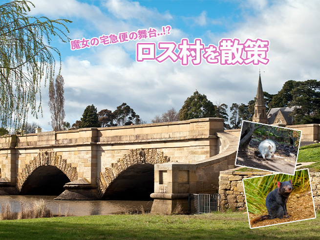 タスマニアデビルとロス村を巡る癒しの旅