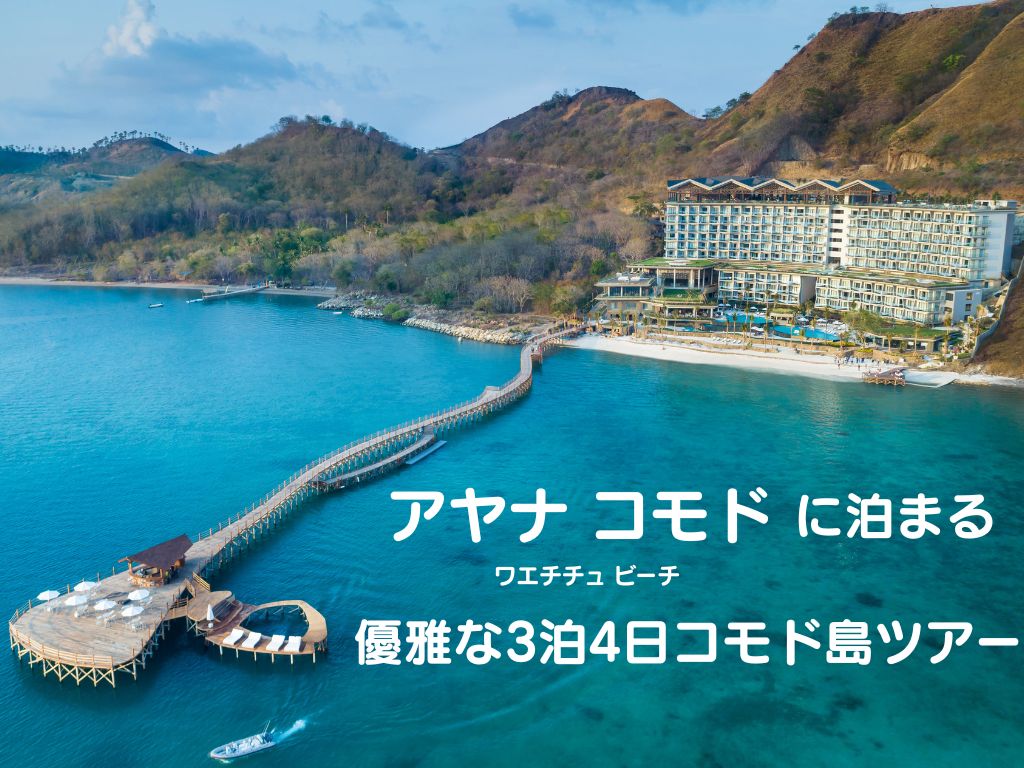 アヤナ コモド ワエチチュ ビーチに泊まる 3泊4日コモド島ツアー（バリ島発着航空券付き）