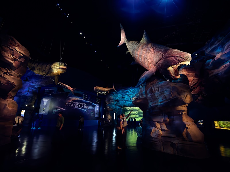 📍セントーサ島 新名所誕生！  シンガポール・オーシャナリウム 2025年7月24日 GRAND OPEN！