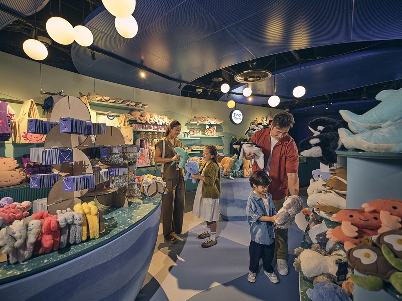 🛍️ お楽しみポイント