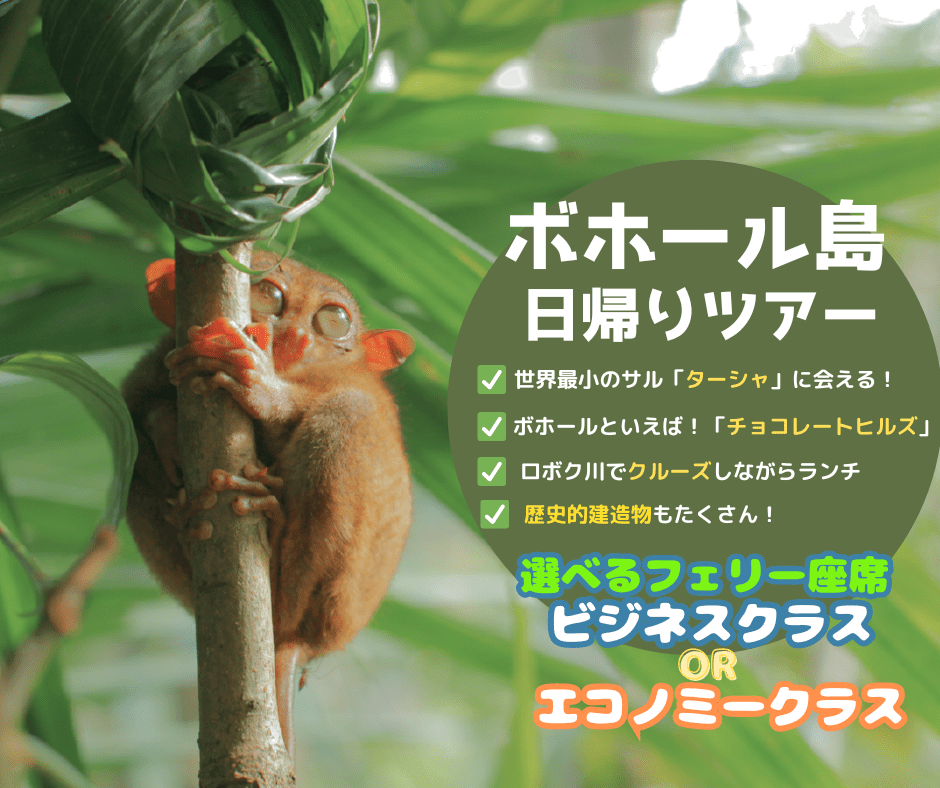 【10/21までの予約完了限定】タイムセール【ボホール島日帰りツアー】ターシャ＆チョコレートヒルズの展望台＆生演奏リバークルーズランチ付き＜日本語ガイド/ホテル往復送迎あり/フェリー乗船券＞