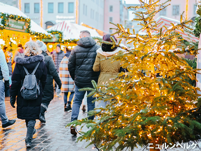 ✨🎄プラハとドイツで楽しむ冬のクリスマス旅🎄✨