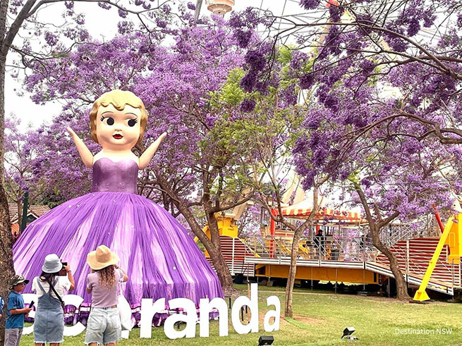 JacaRANDA Festival 2026
