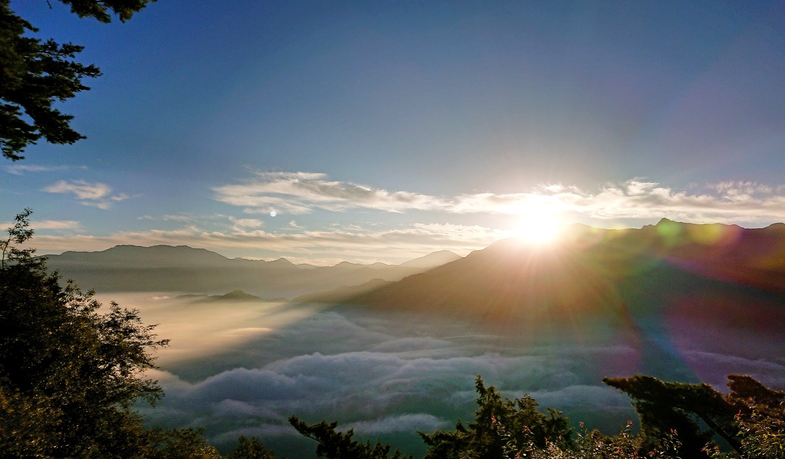 台北発  阿里山  一泊二日の旅