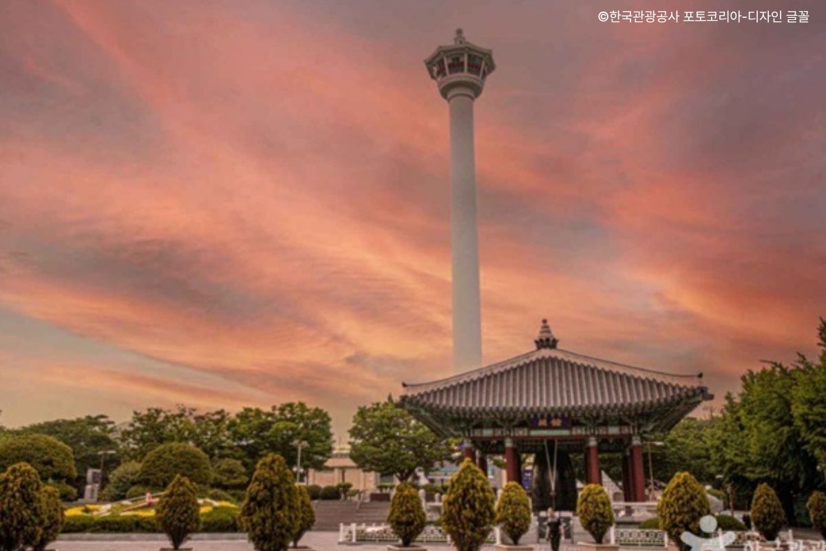 🗼ダイヤモンドタワー(旧:釜山タワー)入場・龍頭山メディアパーク🌟