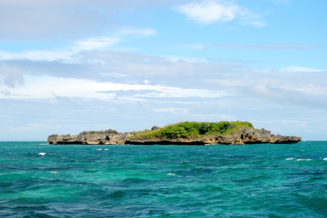 クロコダイル島(Crocodile Island)